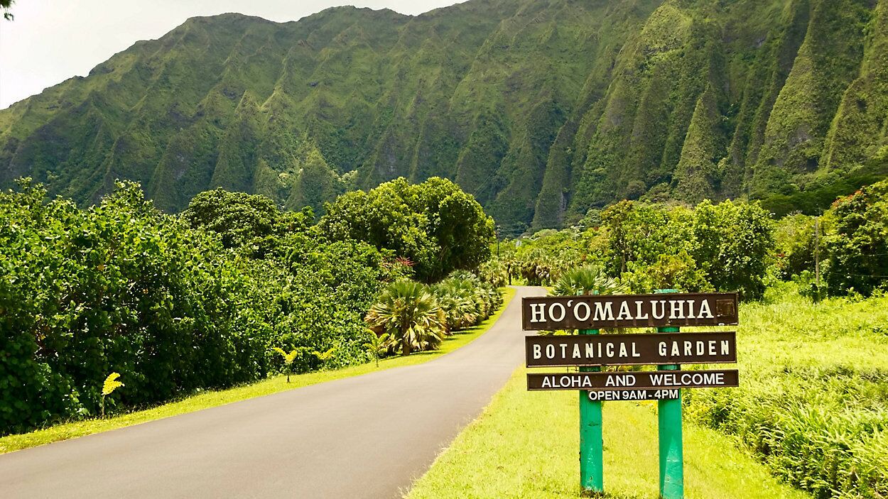 Photo of Outdoor in Kaneohe