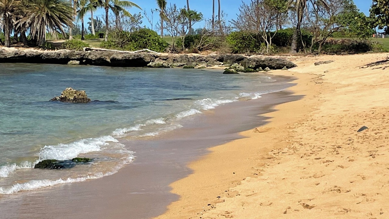 Photo of Others in Ko Olina