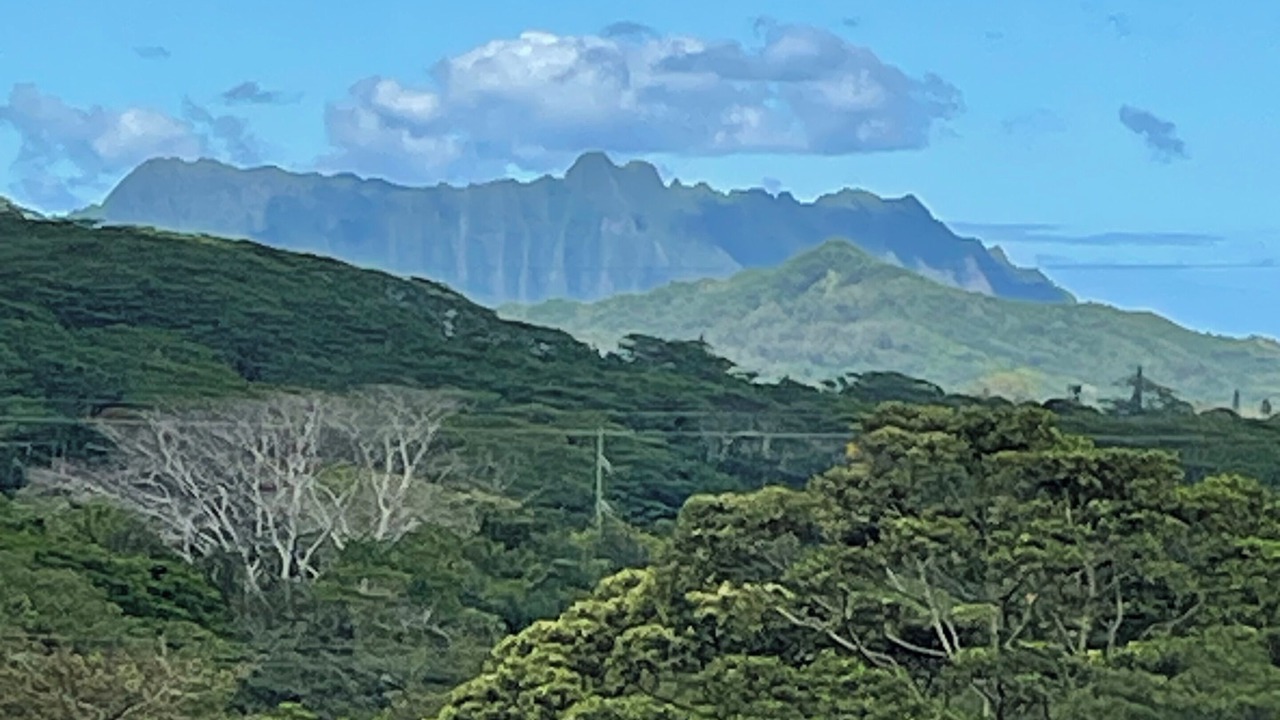 Photo of Others in Ko Olina