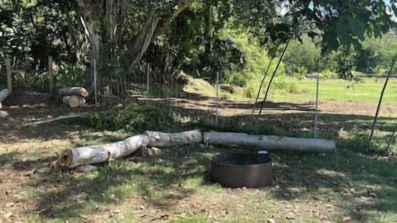 Photo of Outdoor in Laie