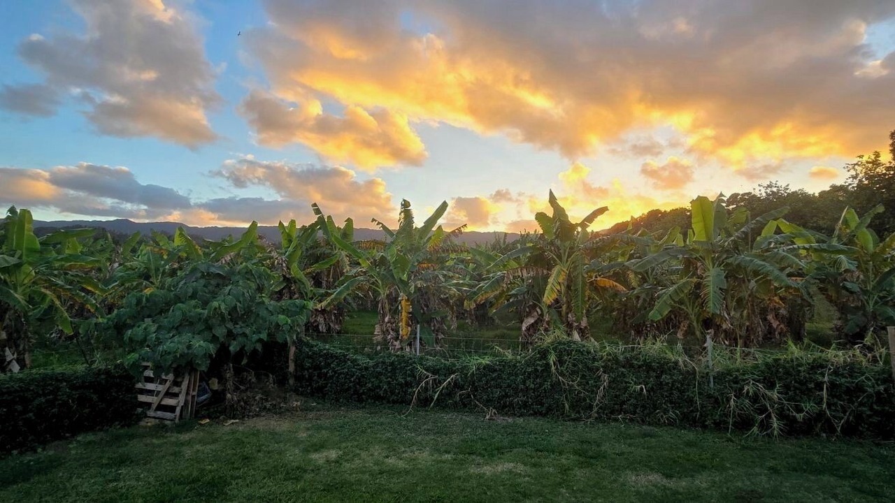 Photo of Others in Laie