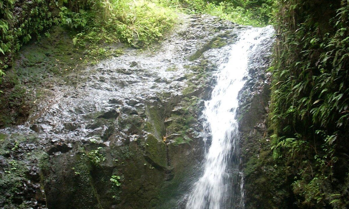Photo of Others in Kaneohe