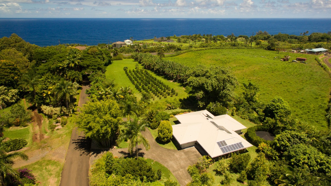 Photo of Outdoor in Hakalau