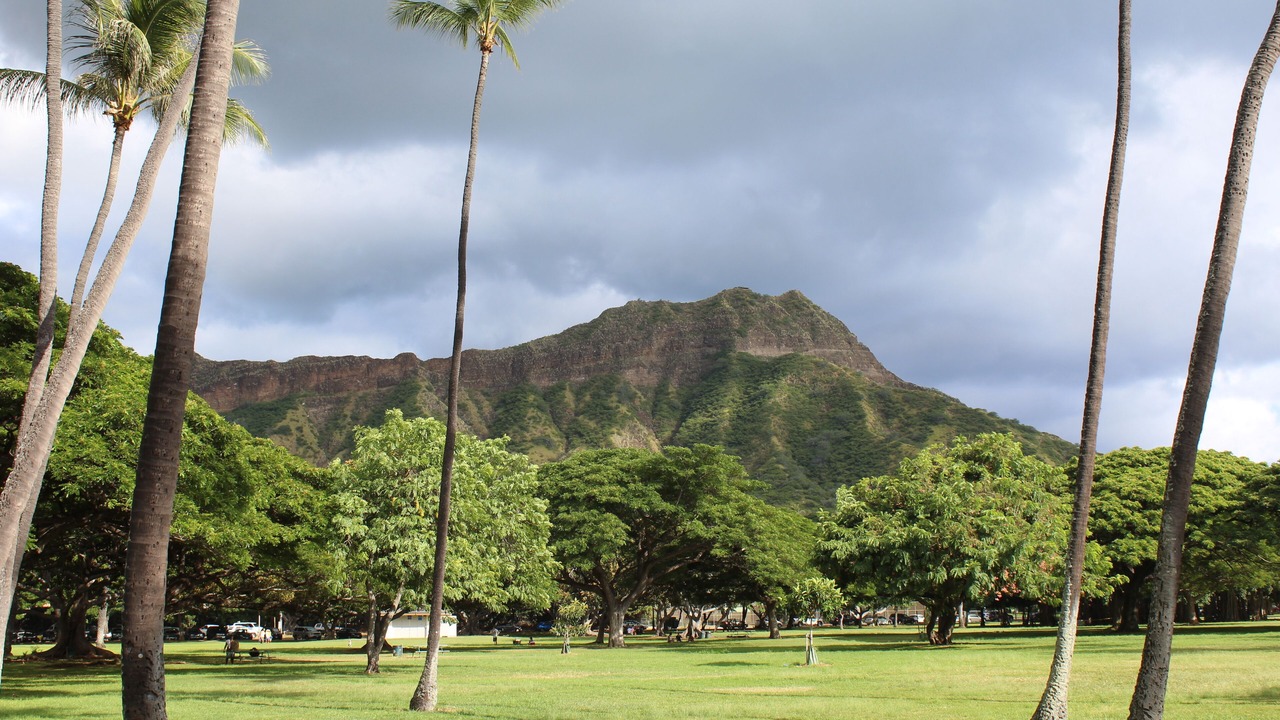 Photo of Others in Diamond Head - Kapahulu - St. Louis