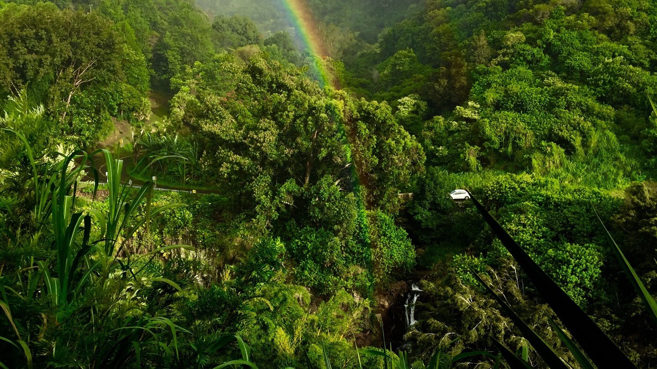 Photo of Others in Makawao