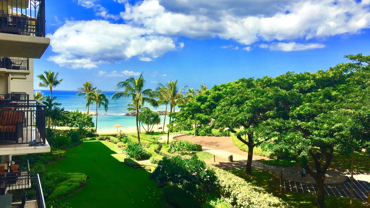 Photo of Others in Ko Olina
