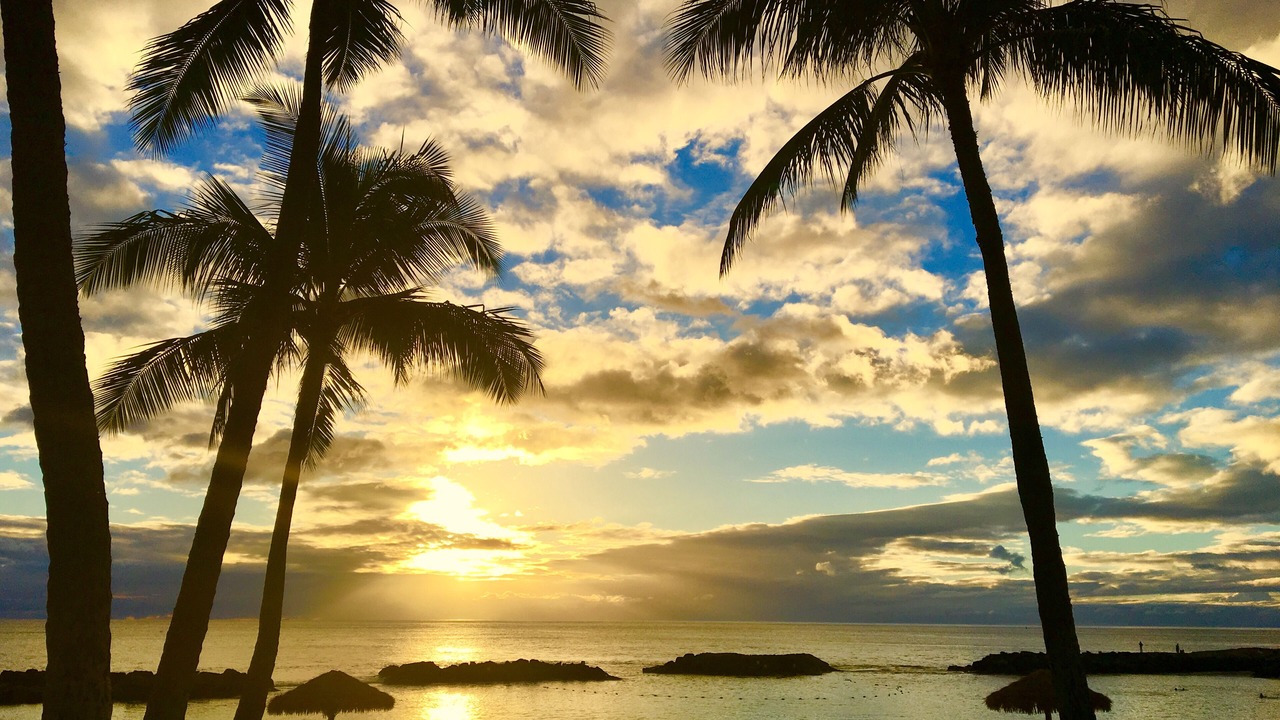 Photo of Others in Ko Olina
