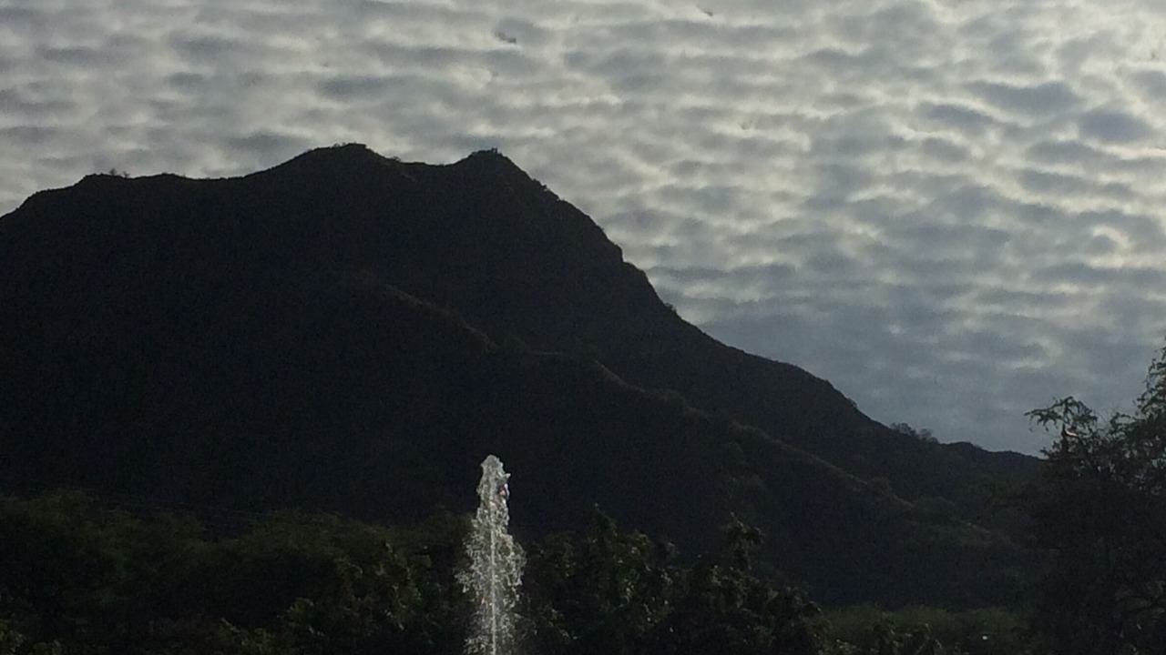 Photo of Others in Diamond Head - Kapahulu - St. Louis