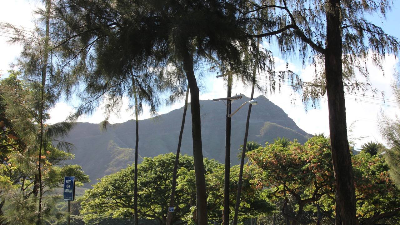 Photo of Others in Diamond Head - Kapahulu - St. Louis