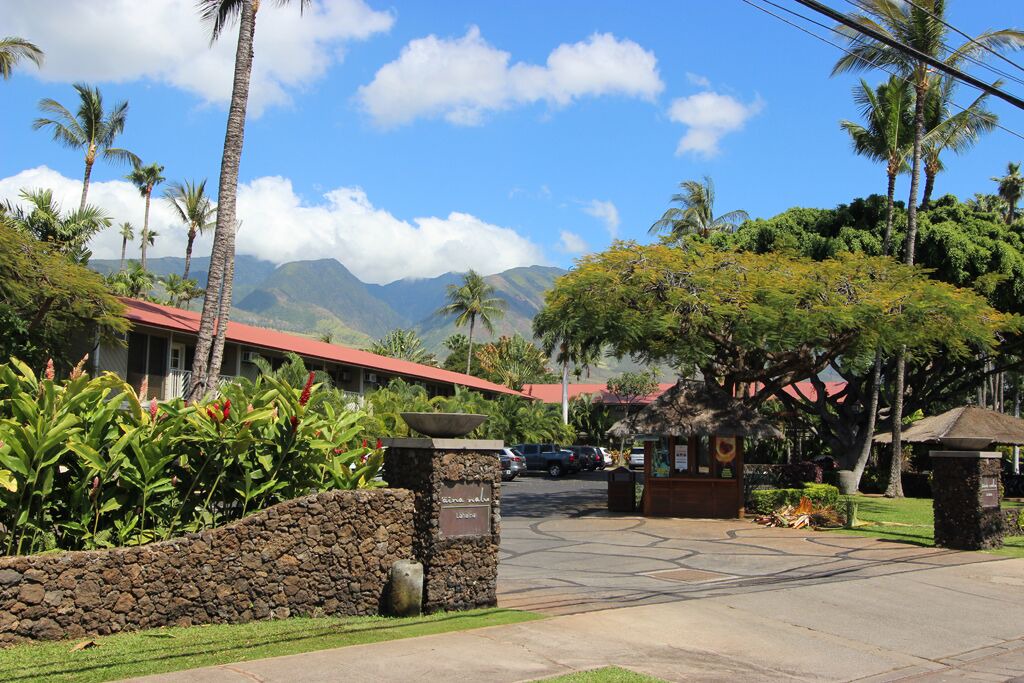 Photo of Others in Historic Lahaina Front Street
