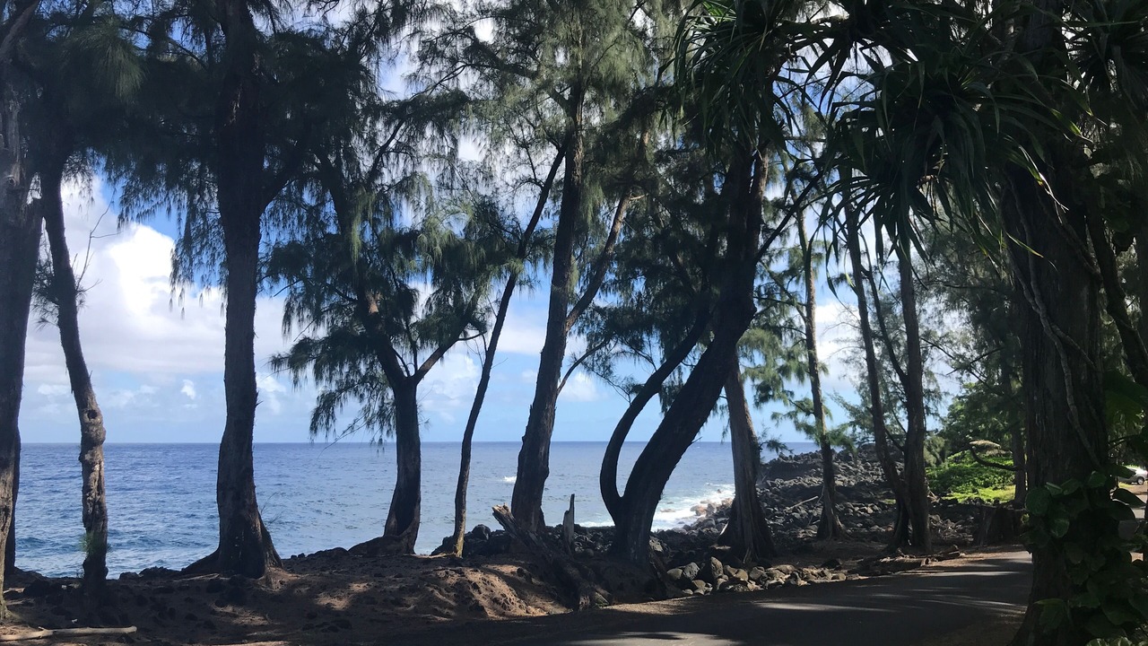 Photo of Others in Pahoa