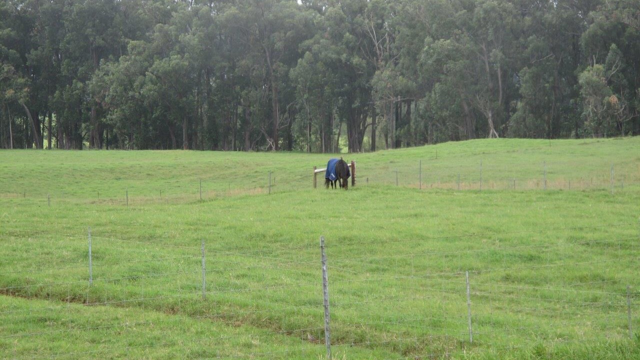Photo of Others in Kamuela