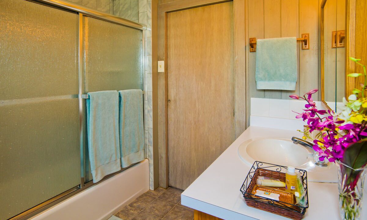 Photo of Bathroom in Hilo