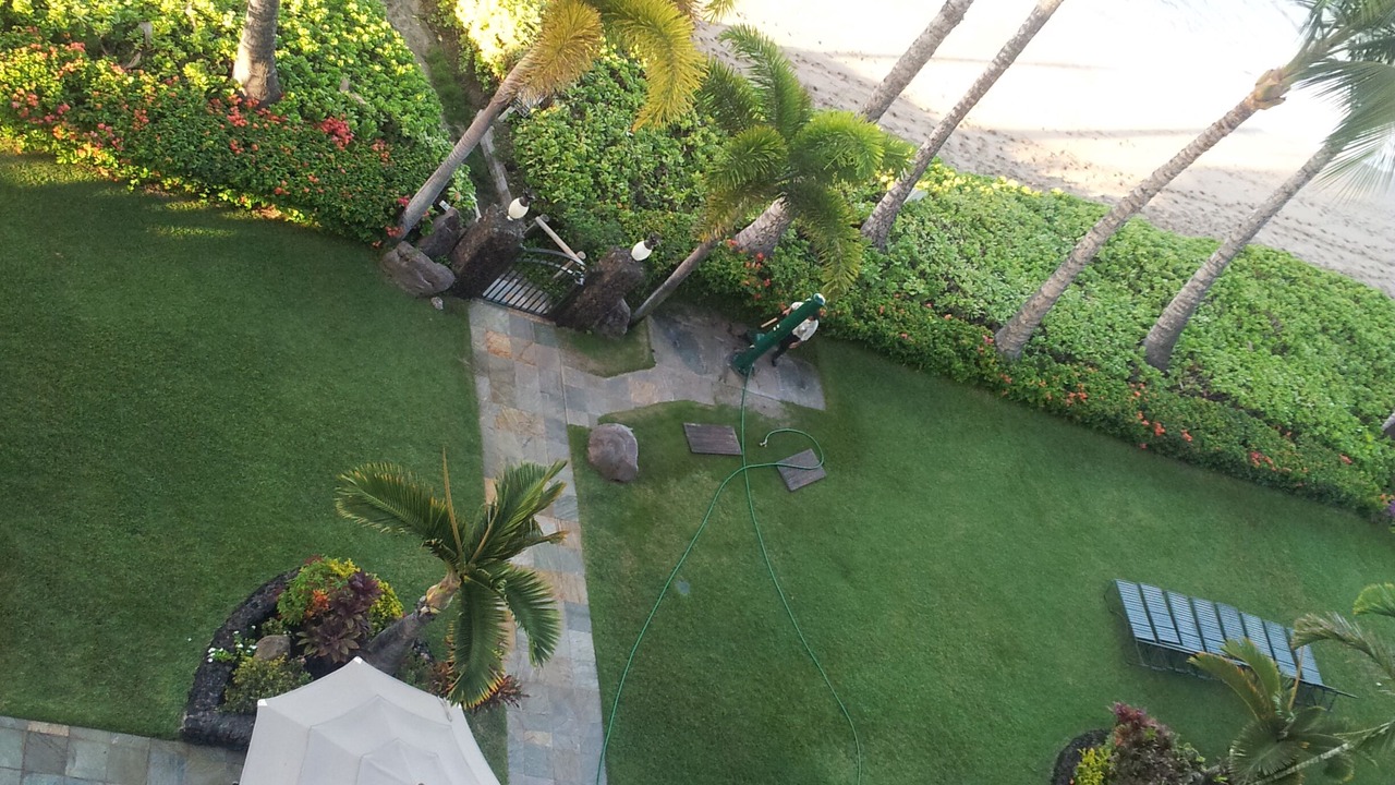 Photo of Outdoor in Historic Lahaina Front Street