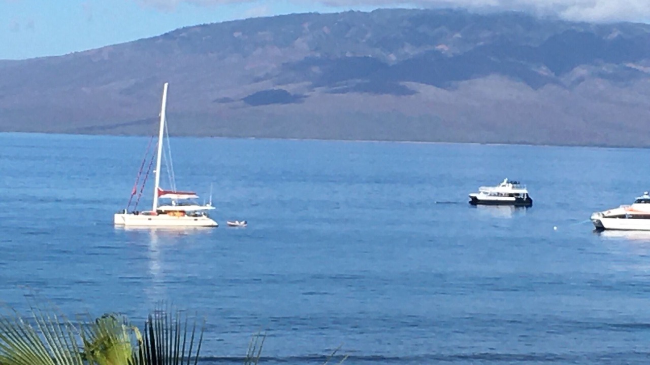 Photo of Others in Historic Lahaina Front Street
