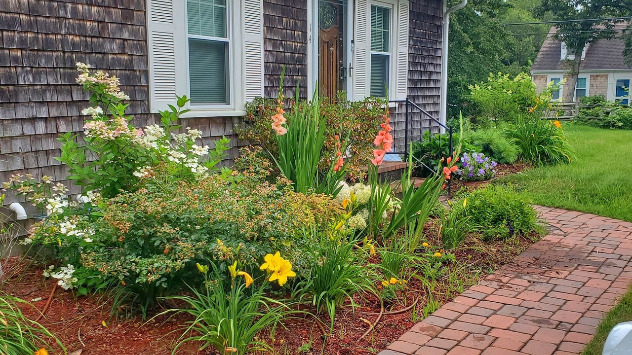 Photo of Outdoor in Northwest Harwich