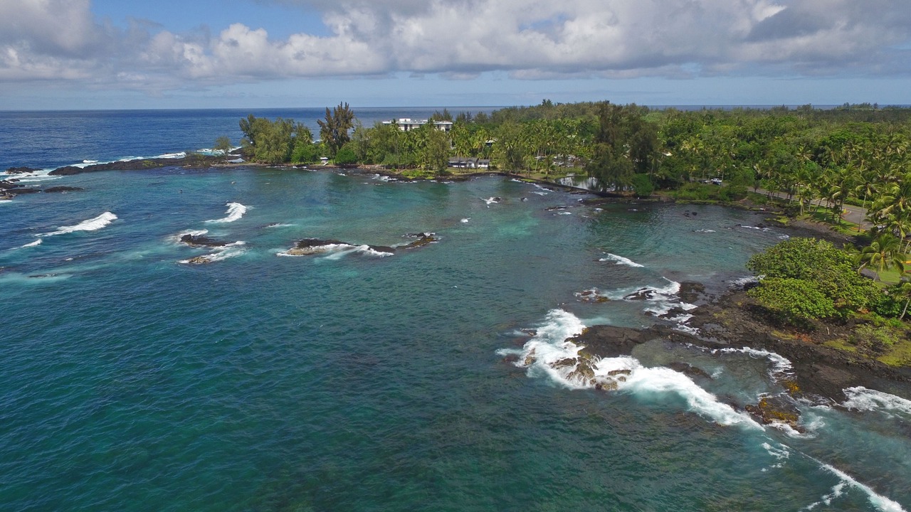 Photo of Others in Hilo