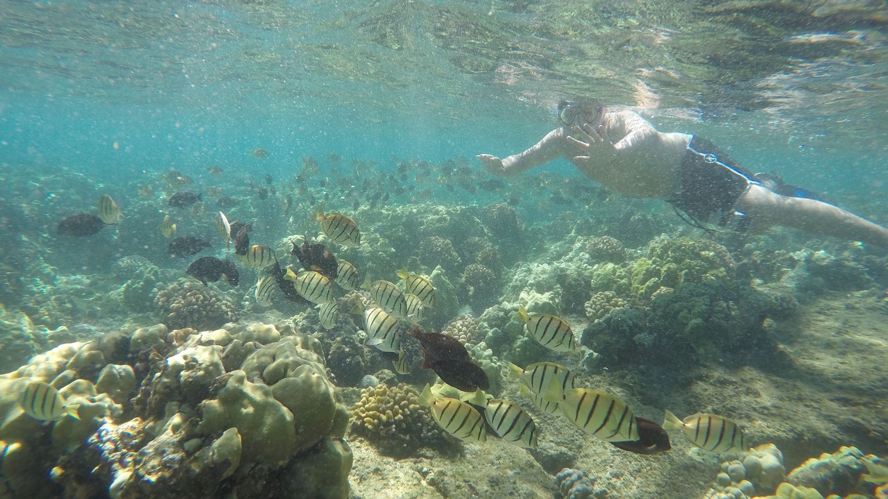 Photo of Outdoor in Hilo