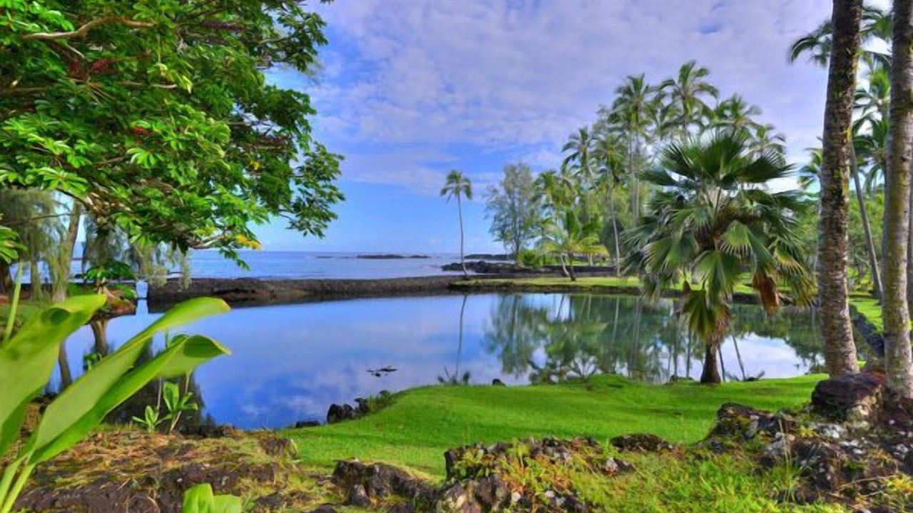 Photo of Outdoor in Hilo