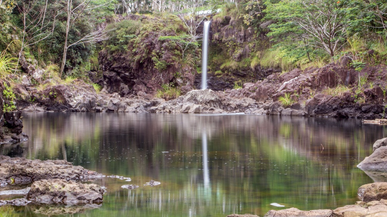 Photo of Others in Hilo