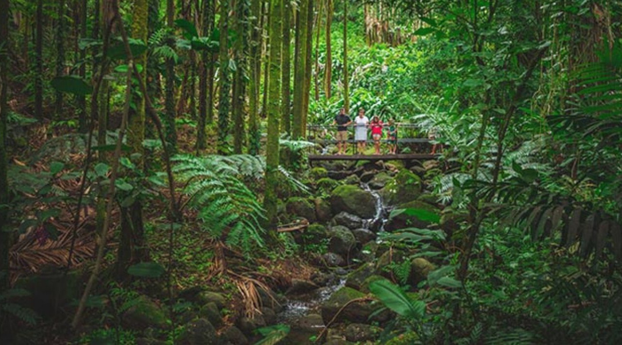 Photo of Outdoor in Hilo