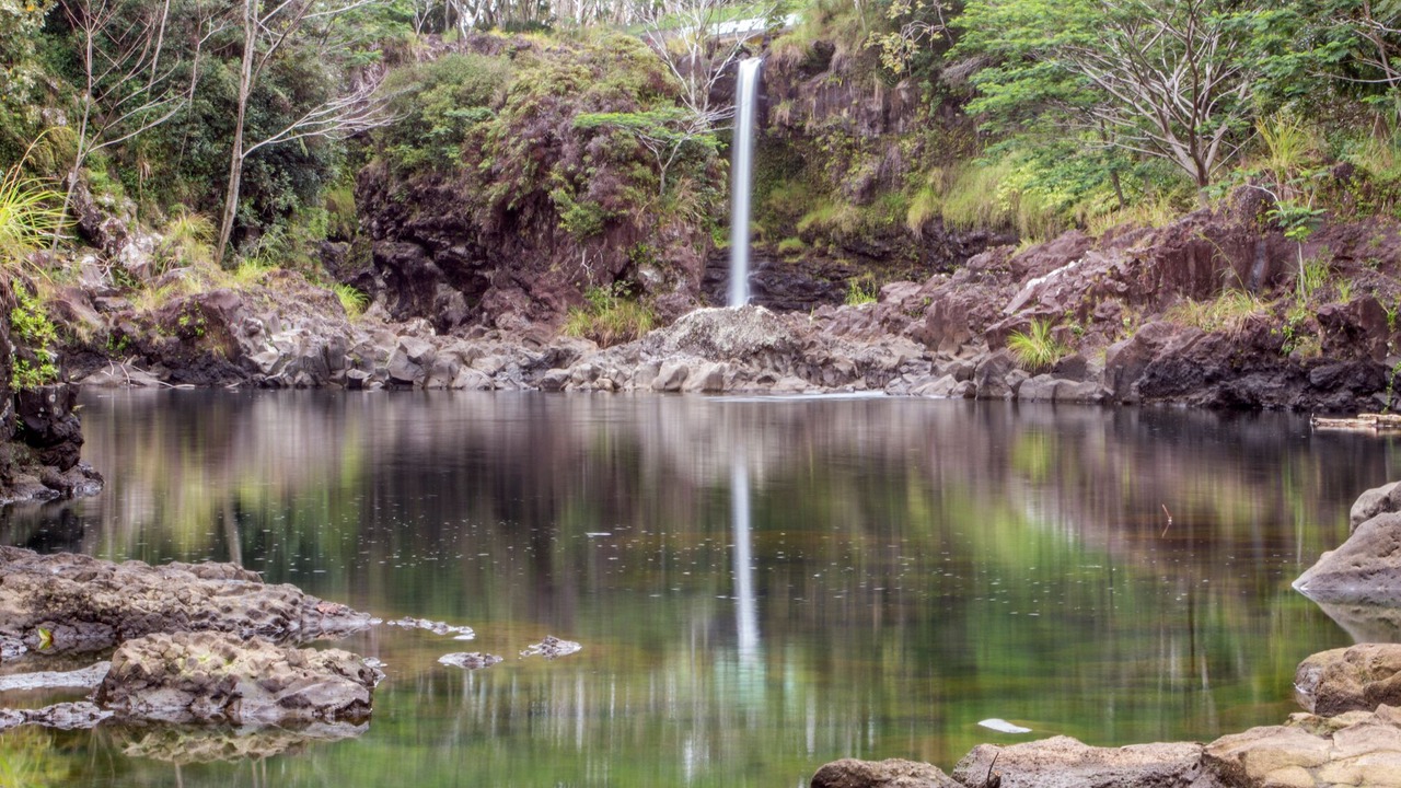 Photo of Others in Hilo