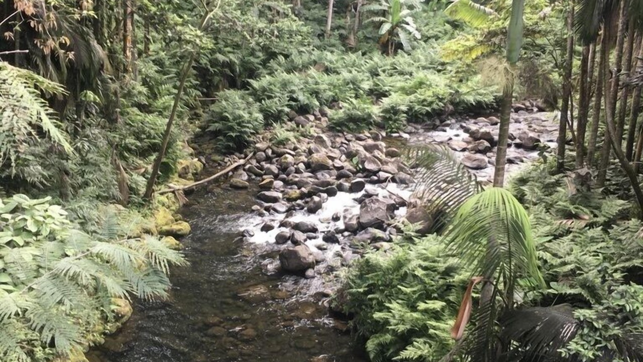 Photo of Outdoor in Hilo
