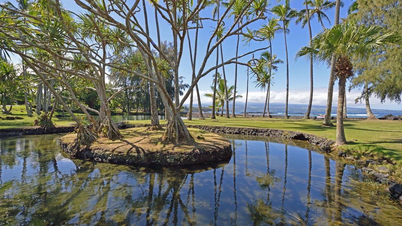 Photo of Others in Hilo