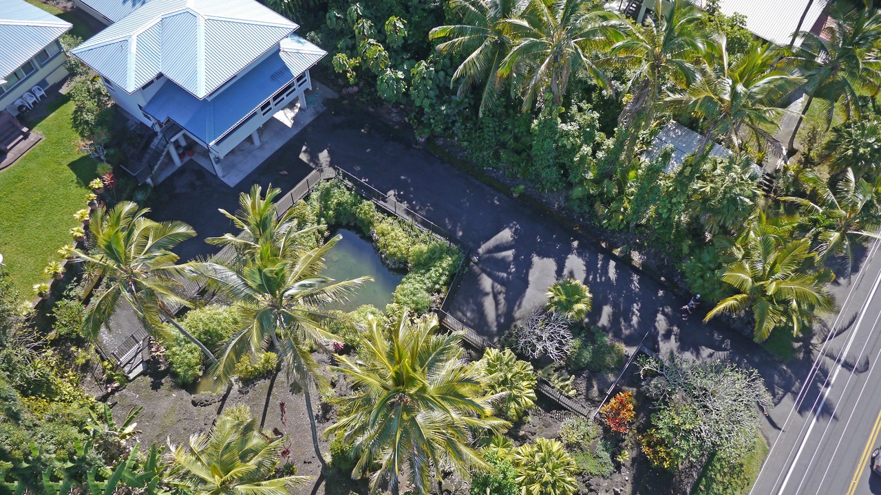 Photo of Others in Hilo