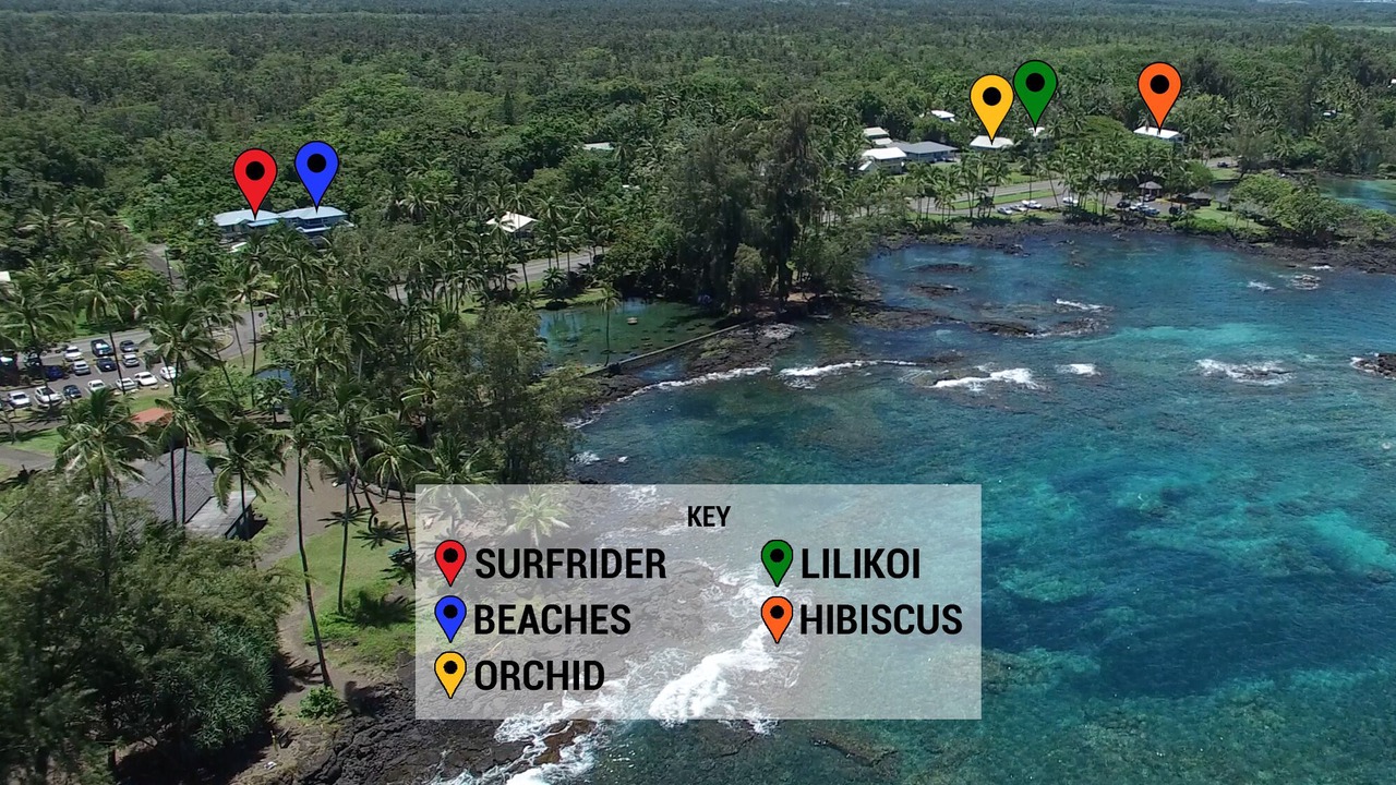 Photo of Others in Hilo