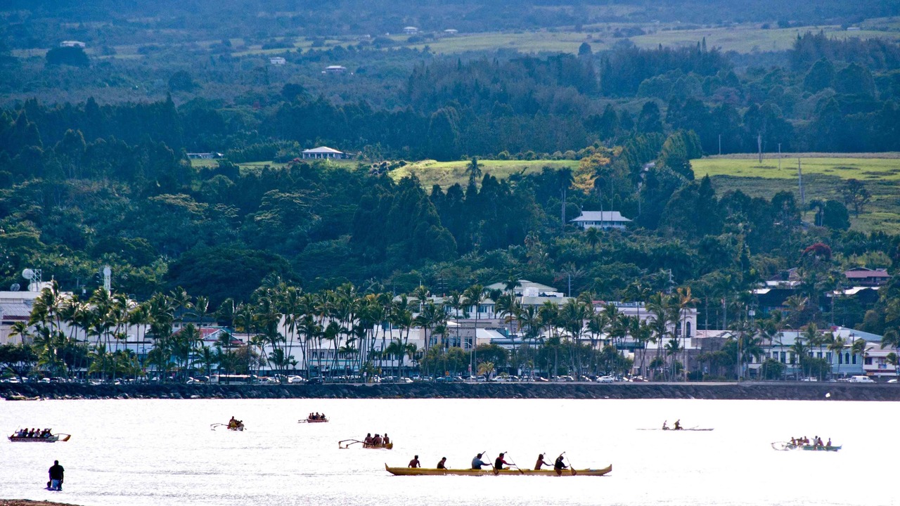 Photo of Others in Hilo