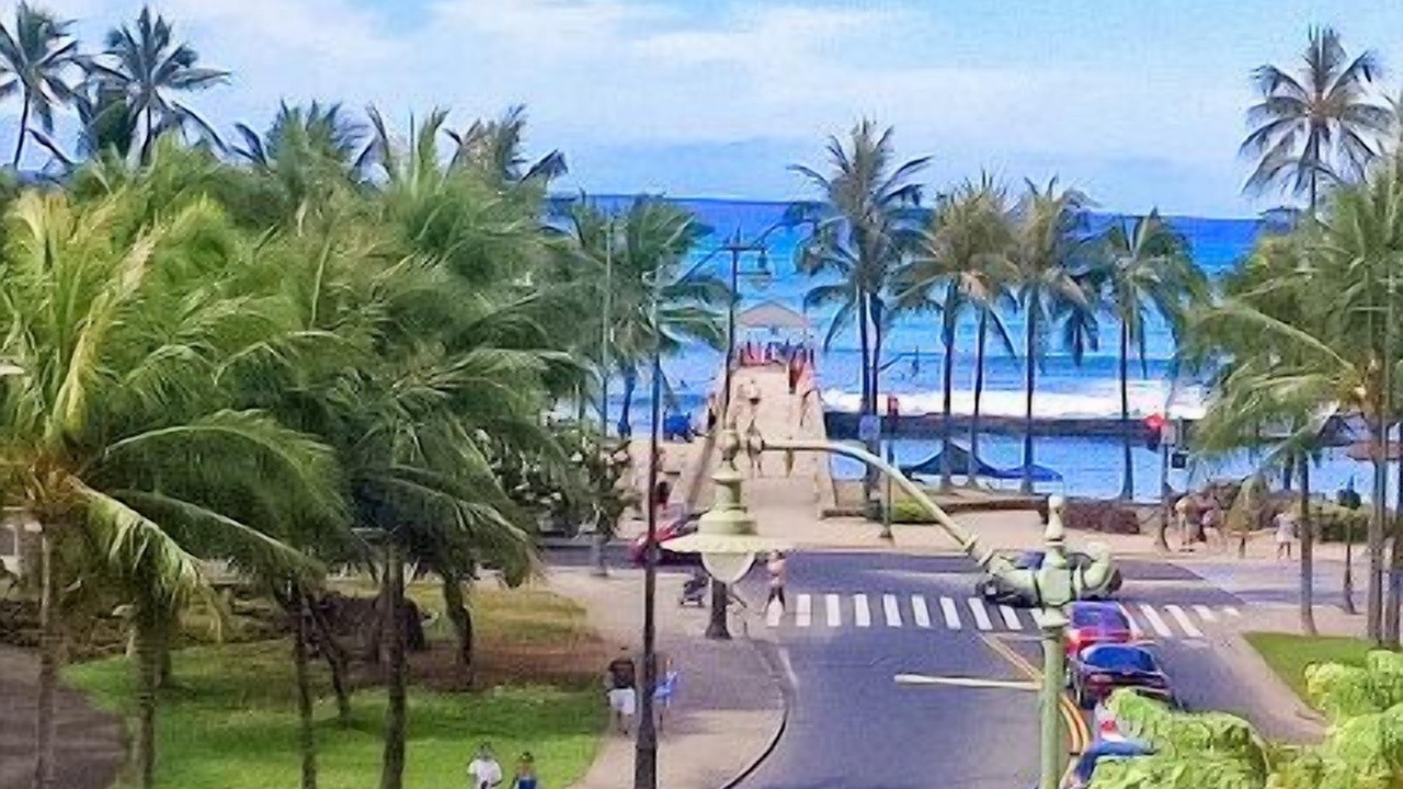 Photo of Others in Waikiki