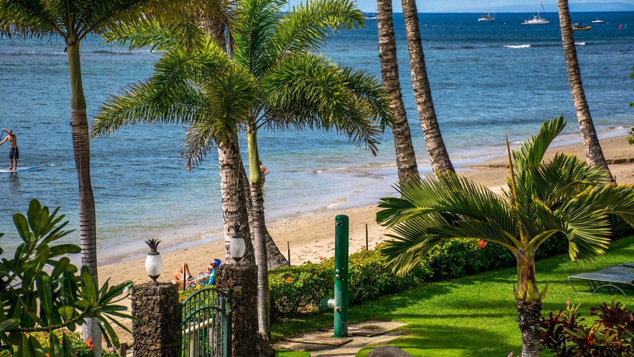 Photo of Others in Historic Lahaina Front Street