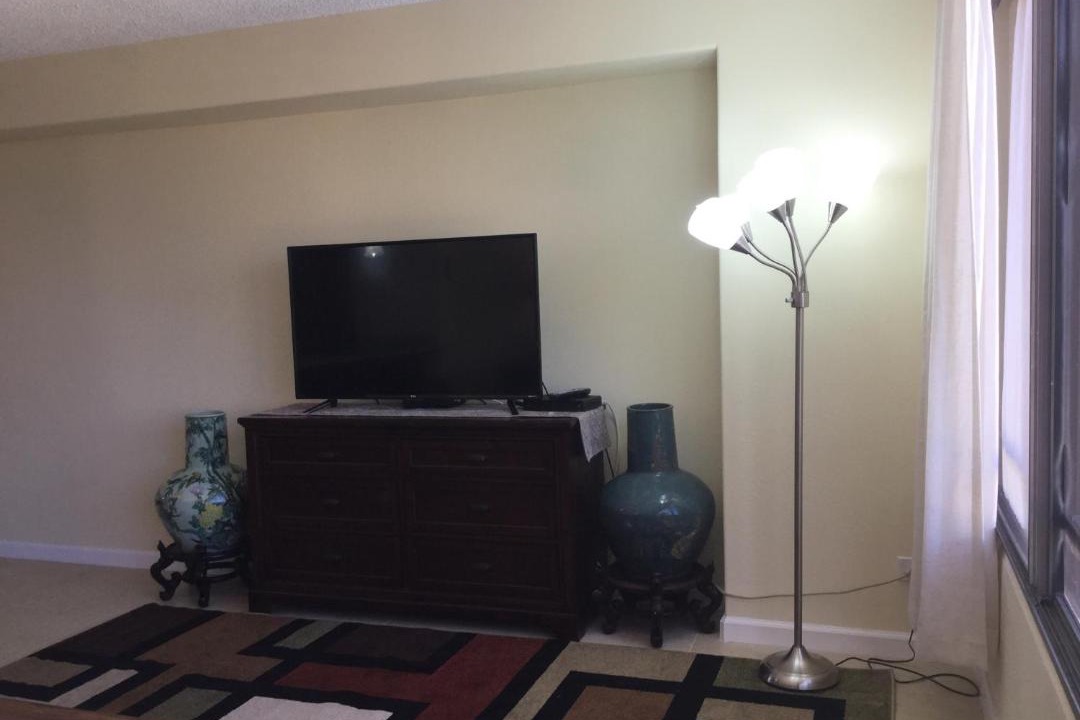 Photo of Livingroom in Waikiki