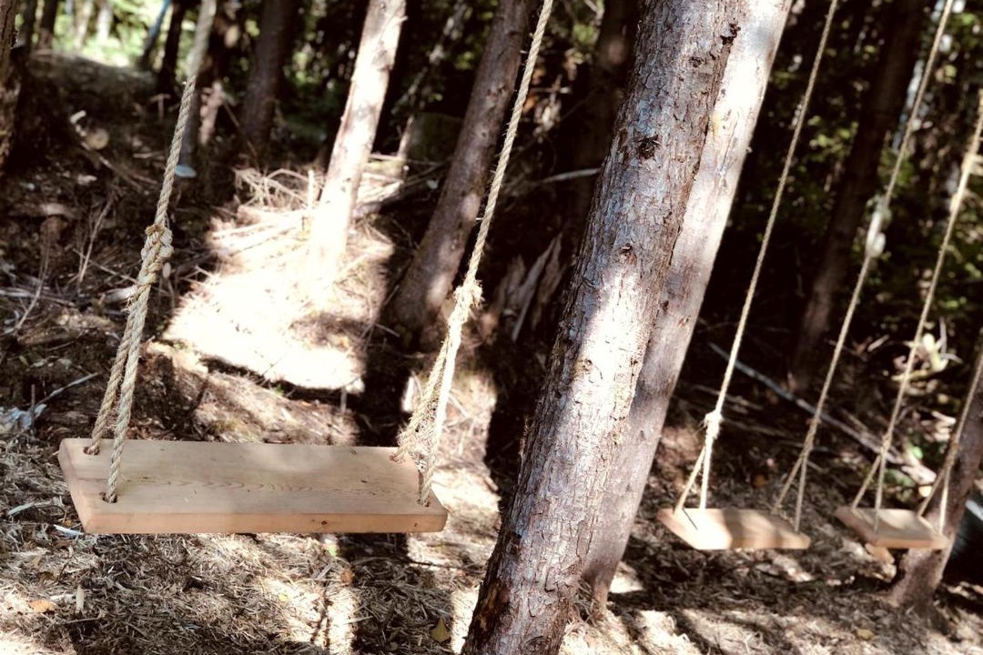 Photo of Others in Forks