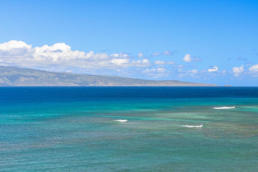 Photo of Others in Kahana