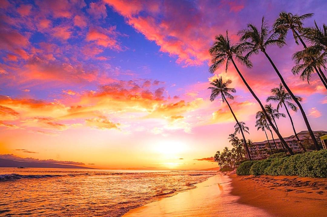 Photo of Others in Kaanapali