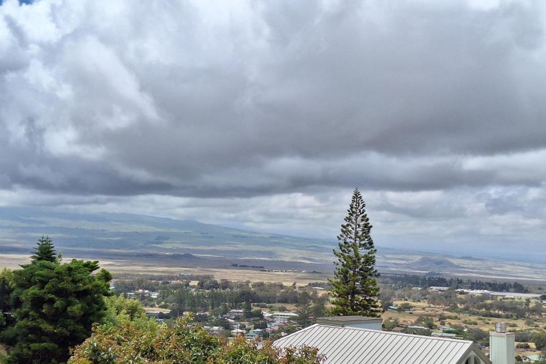 Photo of Others in Waimea