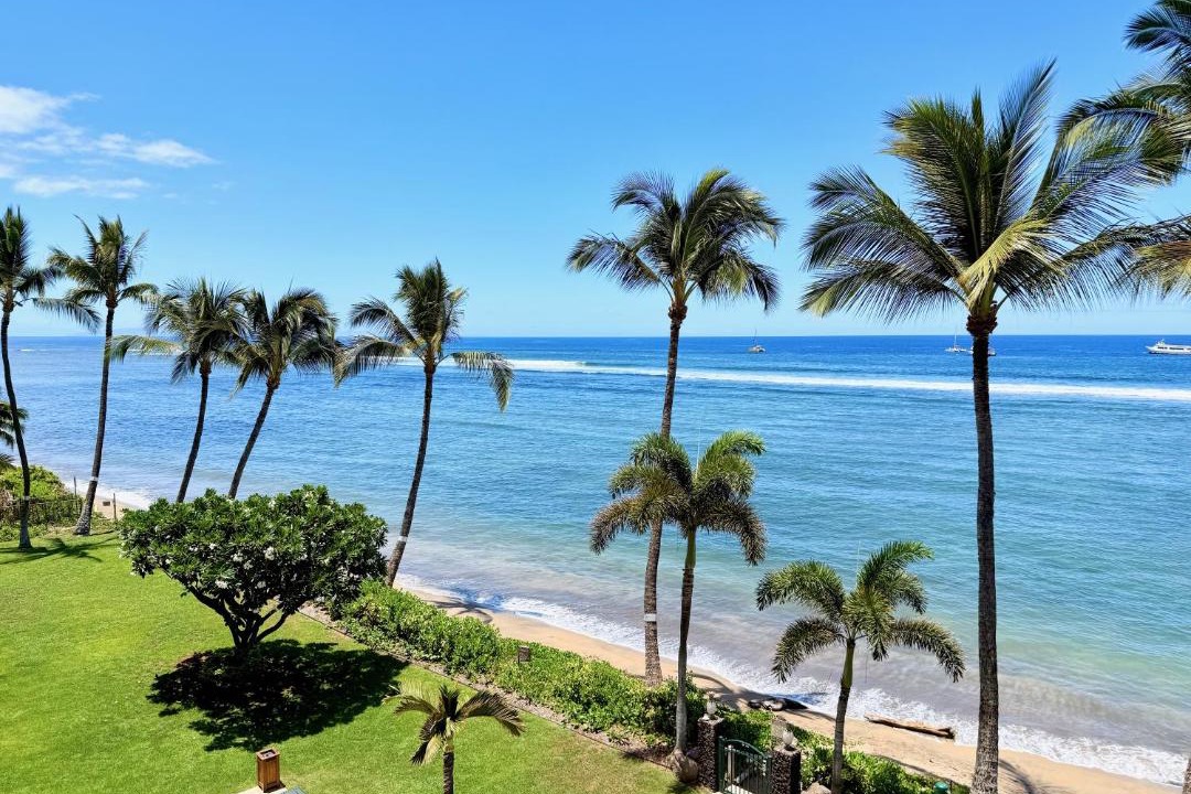 Photo of Others in Historic Lahaina Front Street