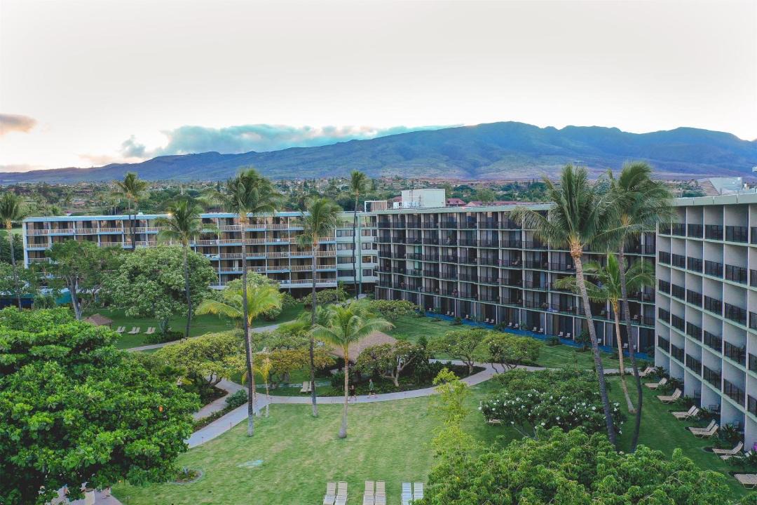 Photo of Others in Kaanapali