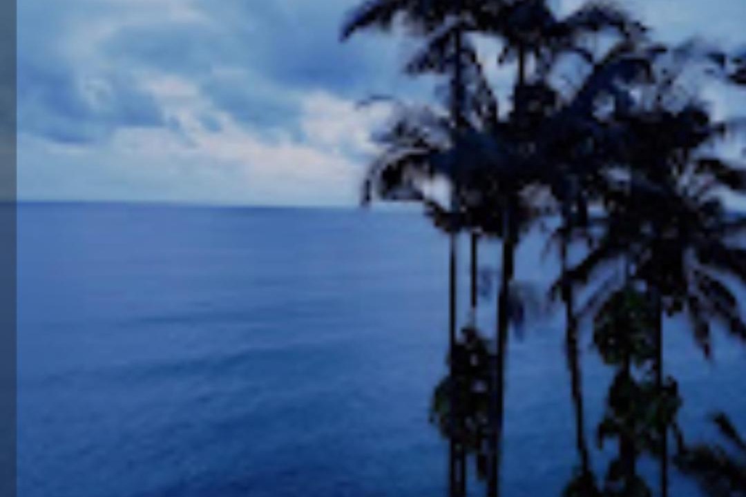 Photo of Others in Hilo