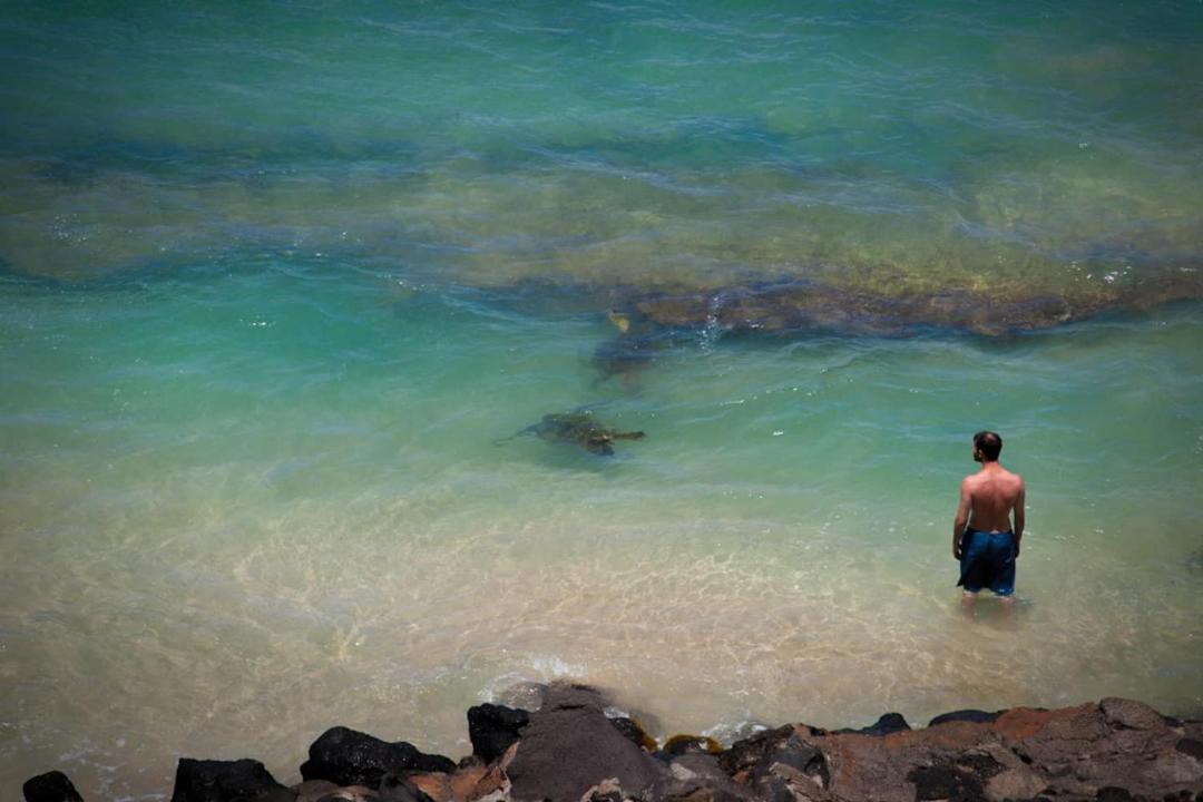 Photo of Human In Picture in Wailuku