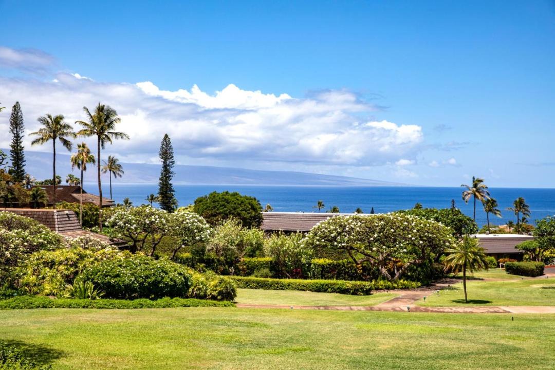 Photo of Others in Kaanapali