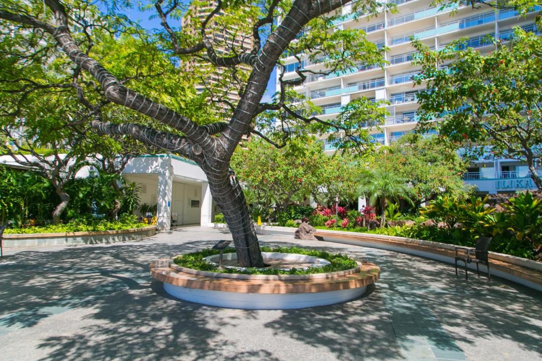 Photo of Others in Waikiki