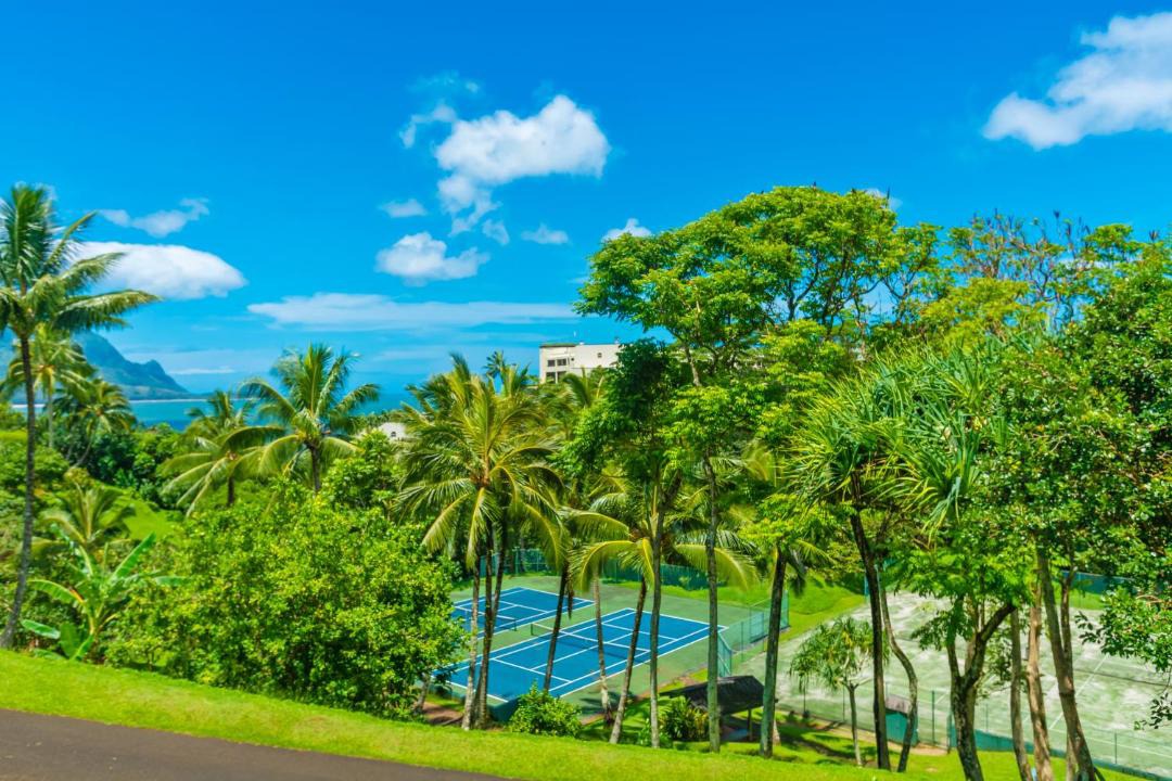 Photo of Others in Princeville