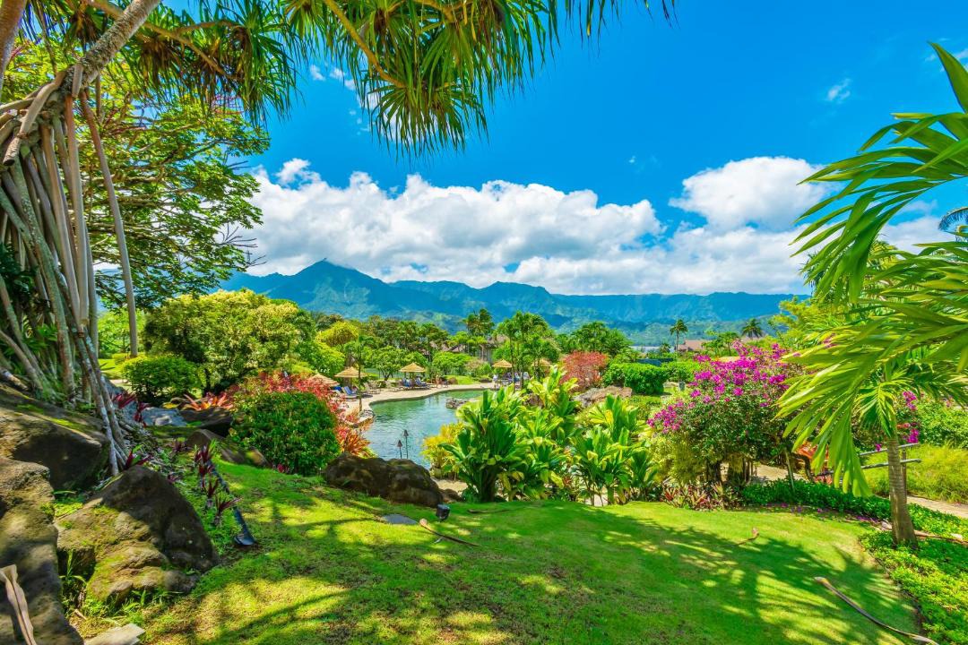 Photo of Others in Princeville