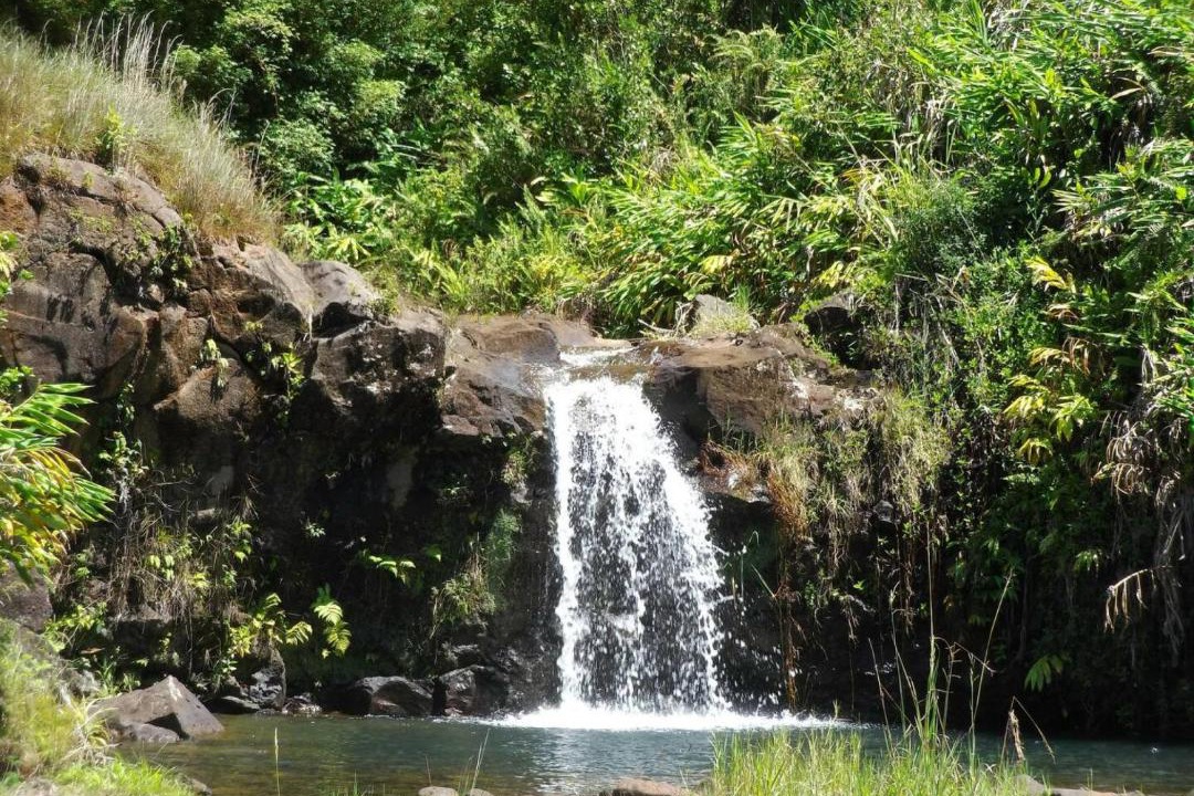 Photo of Others in Hilo