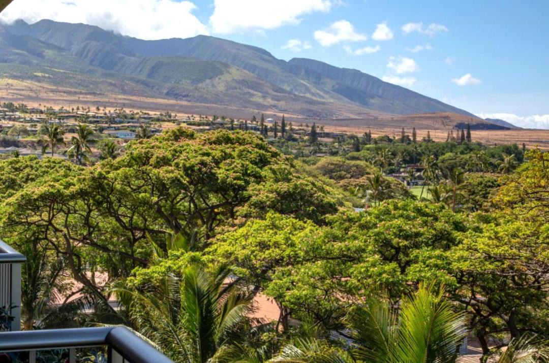 Photo of Others in Kaanapali