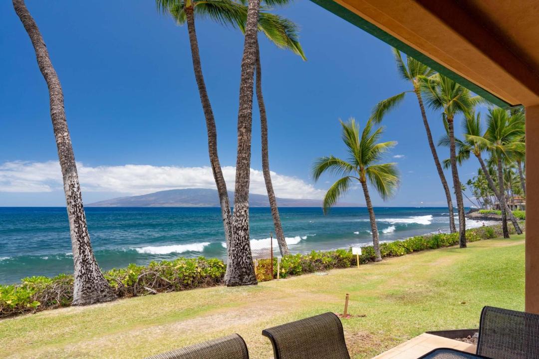 Photo of Others in Downtown Lahaina