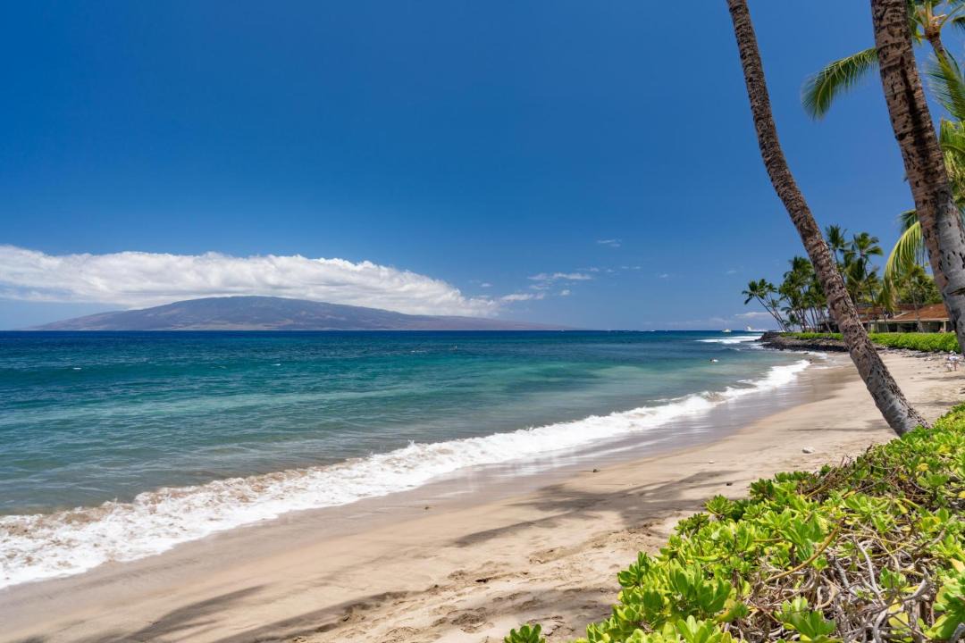 Photo of Others in Downtown Lahaina